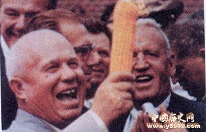 苏联玉米运动_苏联改革种玉米_苏联大种玉米运动的影响