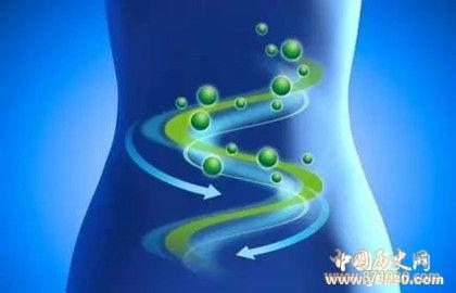 梅契尼科夫的生平经历_梅契尼科夫的贡献_中国历史网