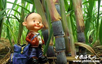 顾恺之吃甘蔗理论是什么_顾恺之吃甘蔗理论的含义_什么是吃甘蔗理论