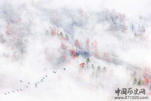 许穆夫人的人物形象分析 许穆夫人最有名的诗载驰原文及解析 许穆夫人的人物形象分析 许穆夫人最有名的诗载驰原文及解析