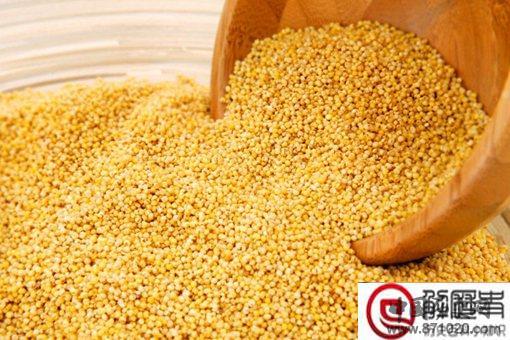 五谷丰登是哪五谷?五谷都有什么?