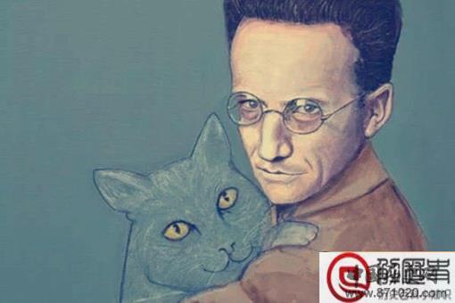 薛定谔的猫为什么恐怖 其实对双缝试验的不理解并不能叫恐怖