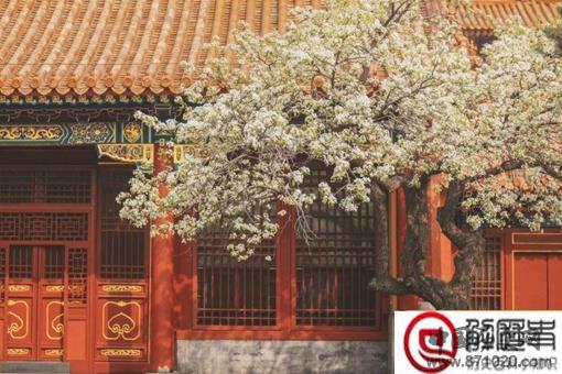 揭秘寿康宫灵异事件是怎么回事