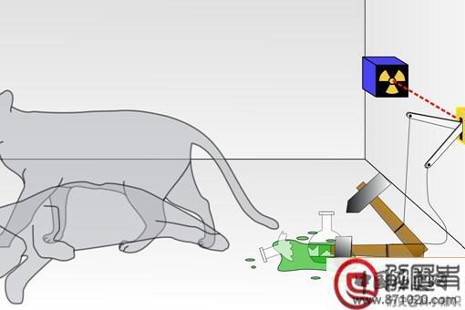 薛定谔的猫为什么恐怖 其实对双缝试验的不理解并不能叫恐怖