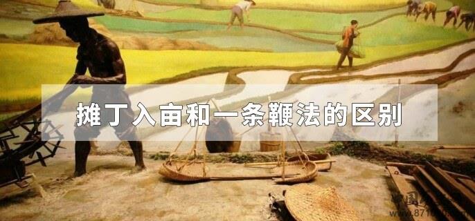 摊丁入亩和一条鞭法的区别