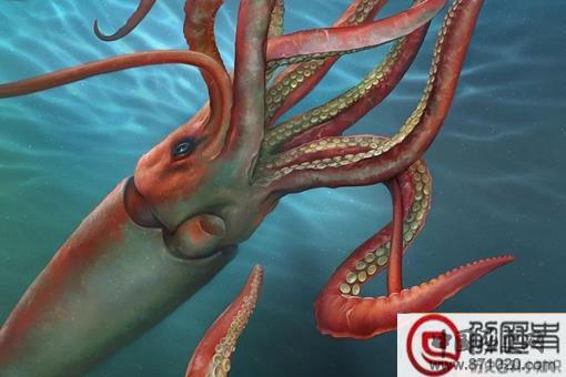 乌贼为什么是四维生物 思维生物真的存在吗
