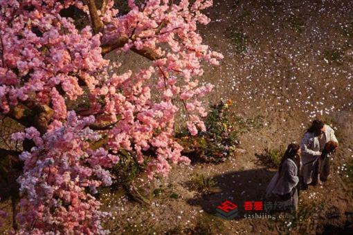 三千鸦杀傅九云身份是什么?傅九云结局揭秘 三千鸦杀傅九云身份是什么?傅九云结局揭秘