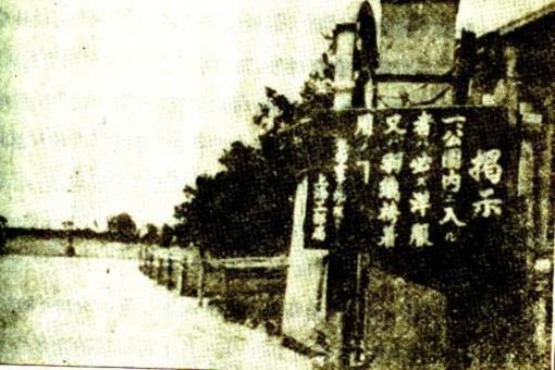 陈芳是如何暴富的?陈芳与夏威夷王室有什么关系?