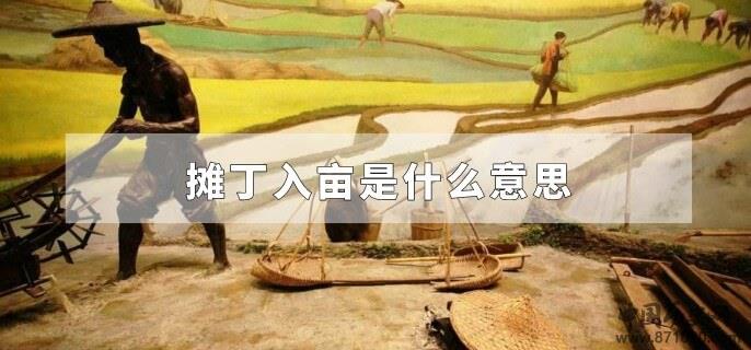 摊丁入亩是什么意思