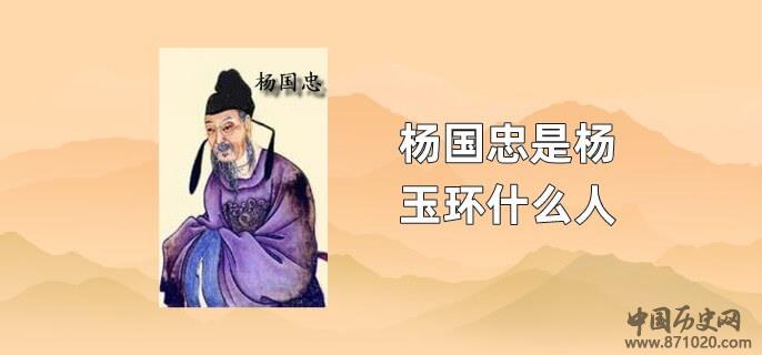 杨国忠是杨玉环什么人