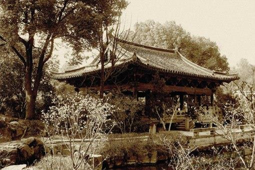 唐婉最后为什么郁郁而终 唐婉拥有怎样的爱情观