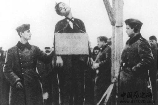 苏联女英雄卓娅是怎么死的?揭秘卓娅遇害详细过程