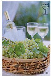 我国元代葡萄酒的生产盛况-酒知识，酒文化，酒品评，酒友家园！-闻酒知香