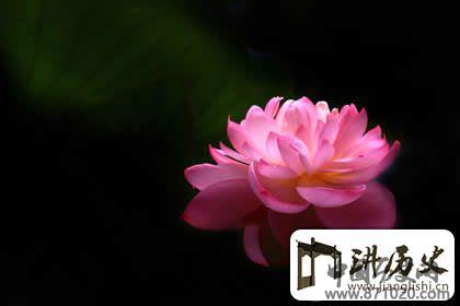 佛教经典必读：妙法莲华经经典语句