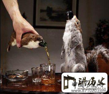 英国的brewdog啤酒-酒知识，酒文化，酒品评，酒友家园！-闻酒知香