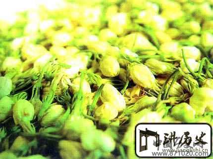 茉莉花茶