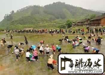 苗族农耕文化是啥？贵州苗族的农耕文化简介