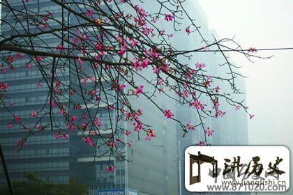 未雨绸缪，湿嗒嗒的回南天是几月份