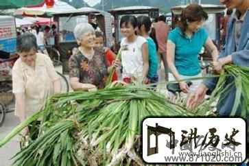 壮族文化壮族医药文化是怎样发展的