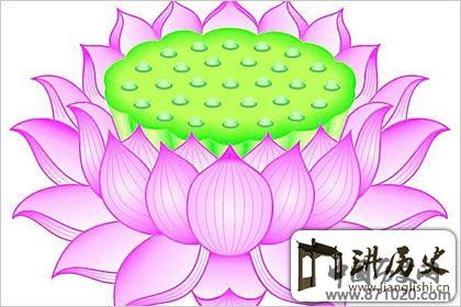 佛教象征物，佛教莲花图片大全