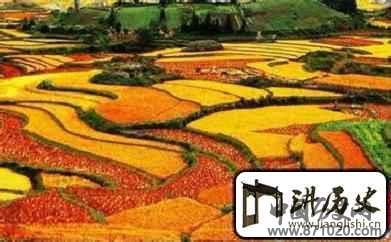 红河哈尼族的梯田有啥历史？有啥特点