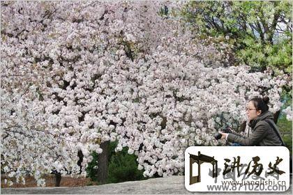 陶醉其中，清明节气图片欣赏