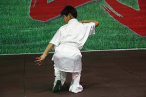 少林拳