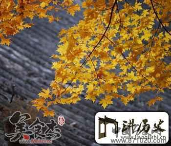 霜枫如血