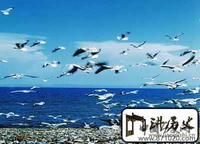 青海－概览