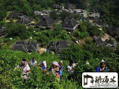 基诺族喜欢吃什么？基诺族的饮食习惯