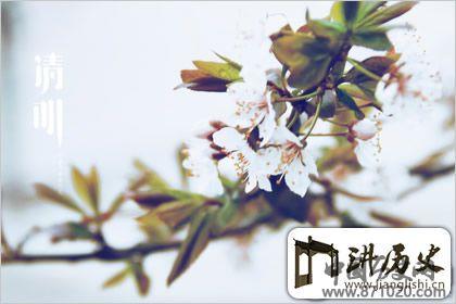 陶醉其中，清明节气图片欣赏