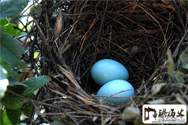 仙邈姑射山柔中带刚阐释大自然