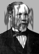 谁是葡萄酒之父？-酒知识，酒文化，酒品评，酒友家园！-闻酒知香