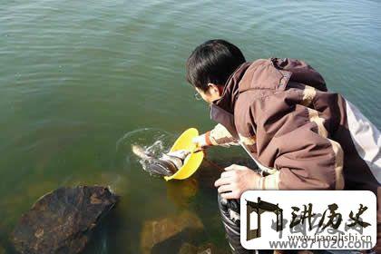 佛教放生的好处，放生的功德