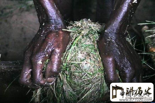 非洲香蕉酒-酒知识，酒文化，酒品评，酒友家园！-闻酒知香