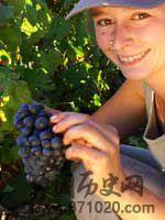 红酒为什么是红色-酒知识，酒文化，酒品评，酒友家园！-闻酒知香