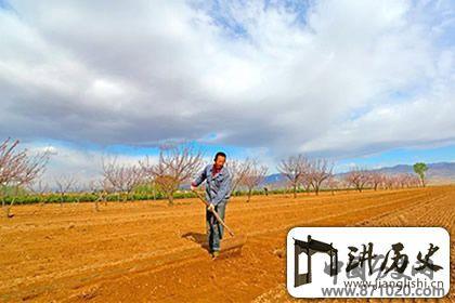 谷雨时节养生要领，补血益气防过敏