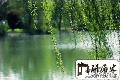 陶醉其中，清明节气图片欣赏