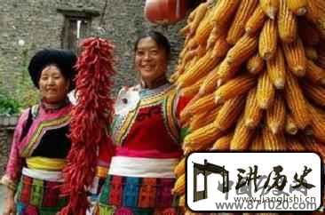 羌族文化羌族语言共有多少分支