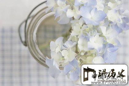 禅语典故推荐，用典故参透佛家道理