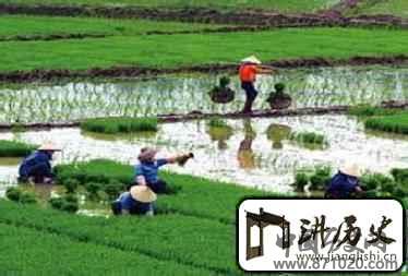 黎族当年是怎样“砍山栏”的？黎族农业简介