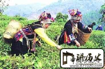 哈尼族的历史是怎样的?其发展又是怎样的