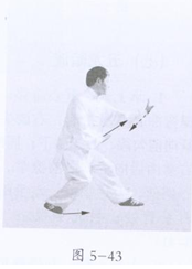 武当拳十八式套路