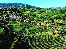 奥地利的葡萄酒产区-酒知识，酒文化，酒品评，酒友家园！-闻酒知香