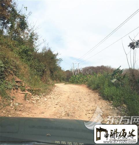 中华民族“最后”一支花——走进神秘基诺族