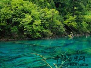 世界自然遗产：九寨沟风景名胜区