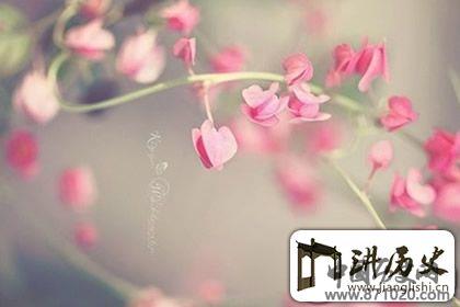 一花一世界，禅语感悟人生的句子赏析