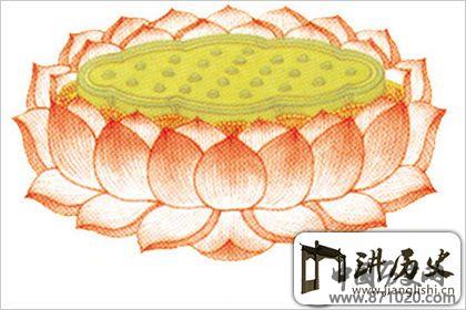 佛教象征物，佛教莲花图片大全
