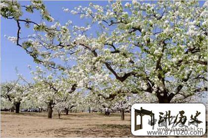 陶醉其中，清明节气图片欣赏