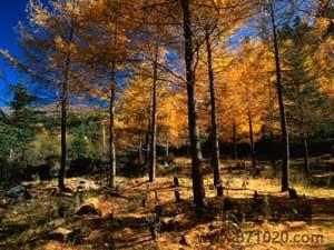 世界自然遗产：九寨沟风景名胜区